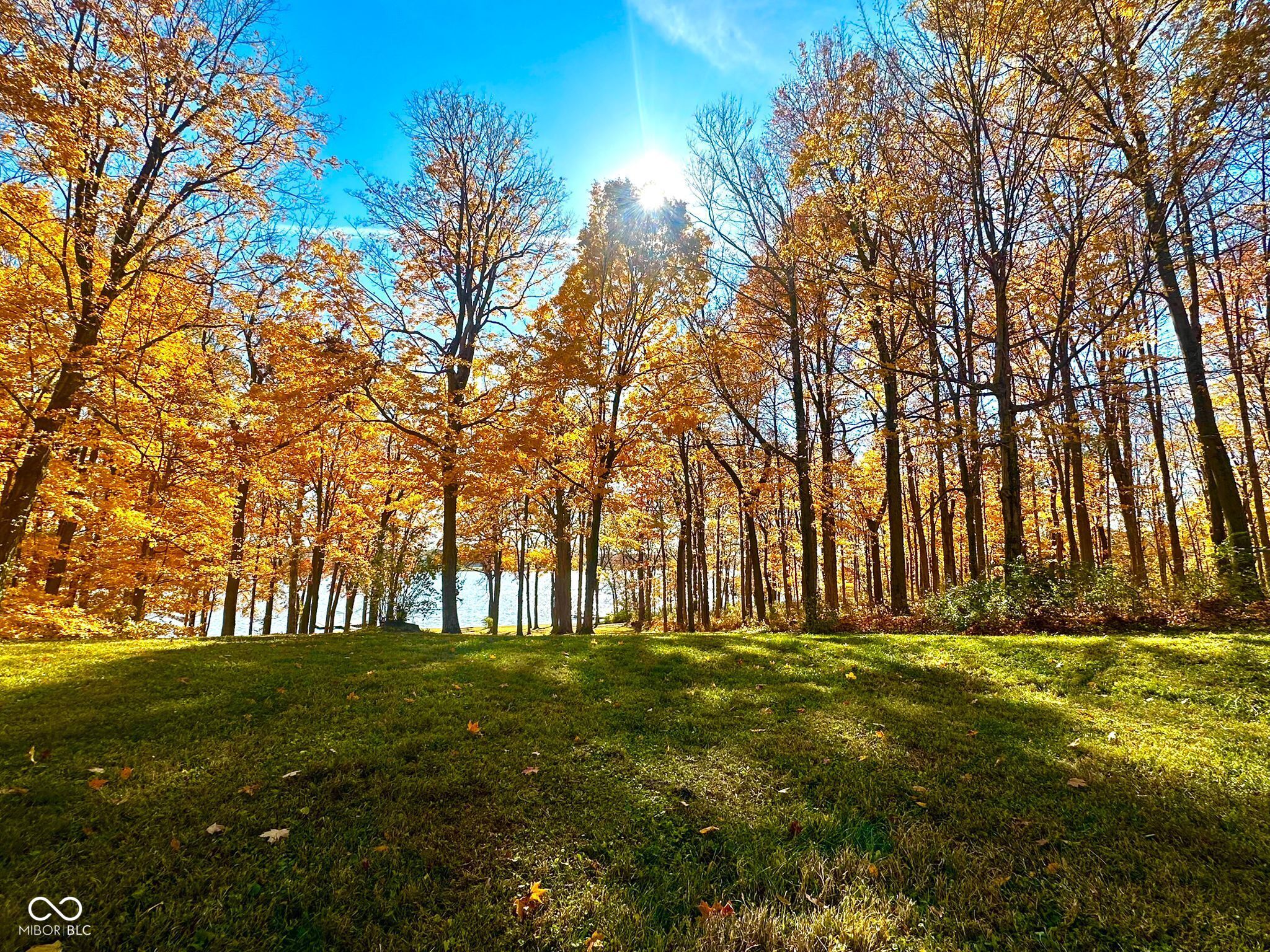 11401 Forest Knoll Circle Fishers, IN 46037 - Photo 6 of 28
