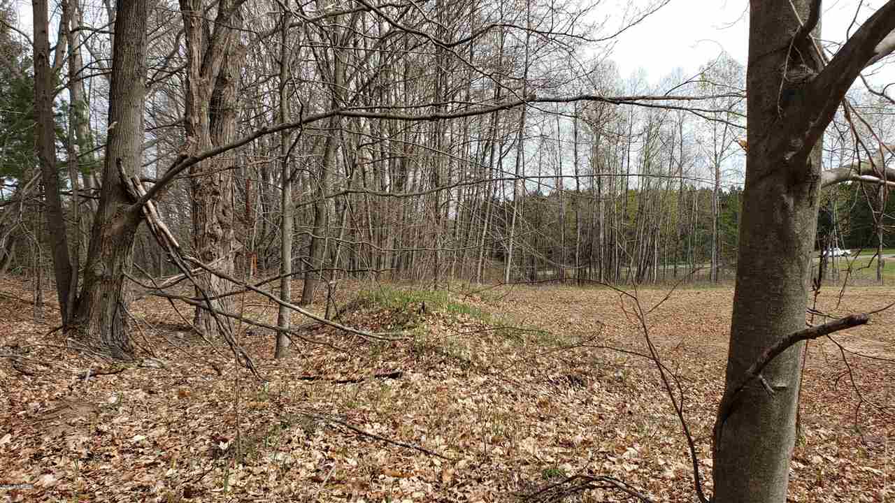 3 1/2 East 3 1/2 Mile Road Baldwin, MI 49304 - Photo 1 of 13