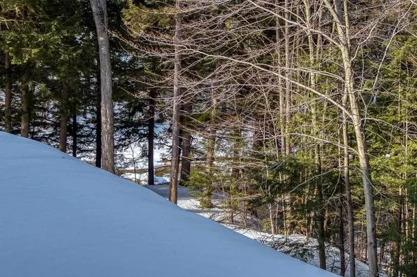 $2,500 | 3 Bartlett Pl Road, Bartlett, NH 03812