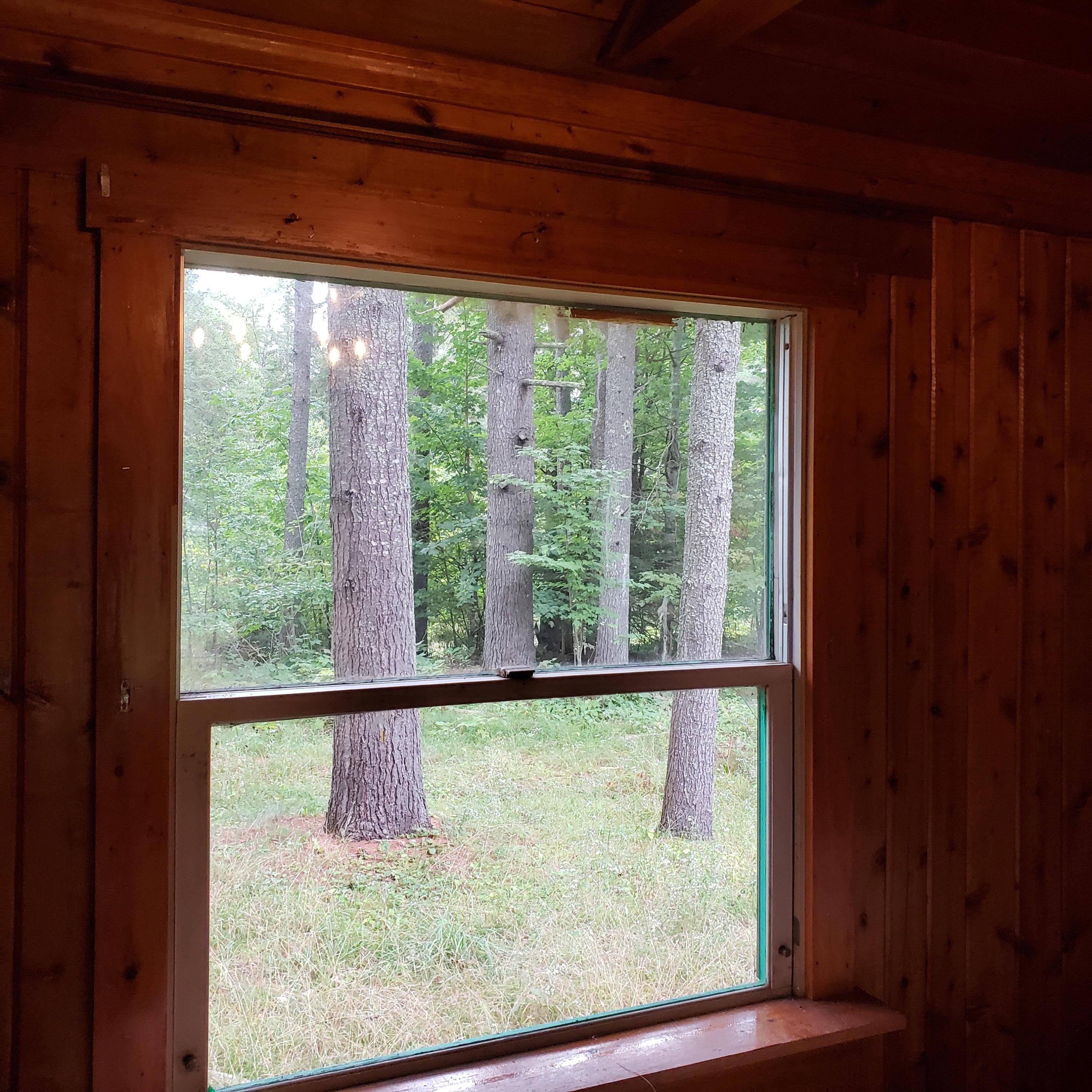 1020 Lee Road Lincoln, ME 04457 - Photo 23 of 24 1020 Lee Road (18)