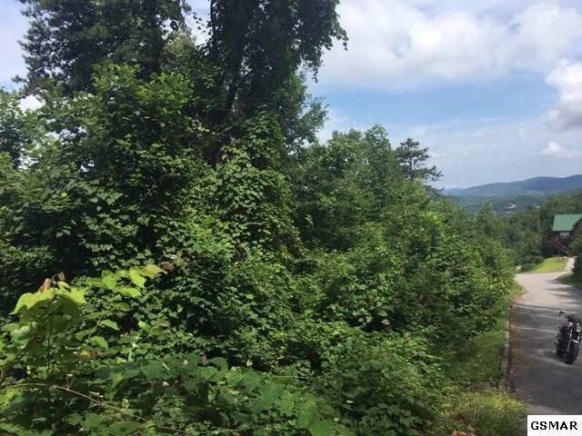 36 Grouse Ridge Lane Sevierville, TN 37862 - Photo 2 of 13