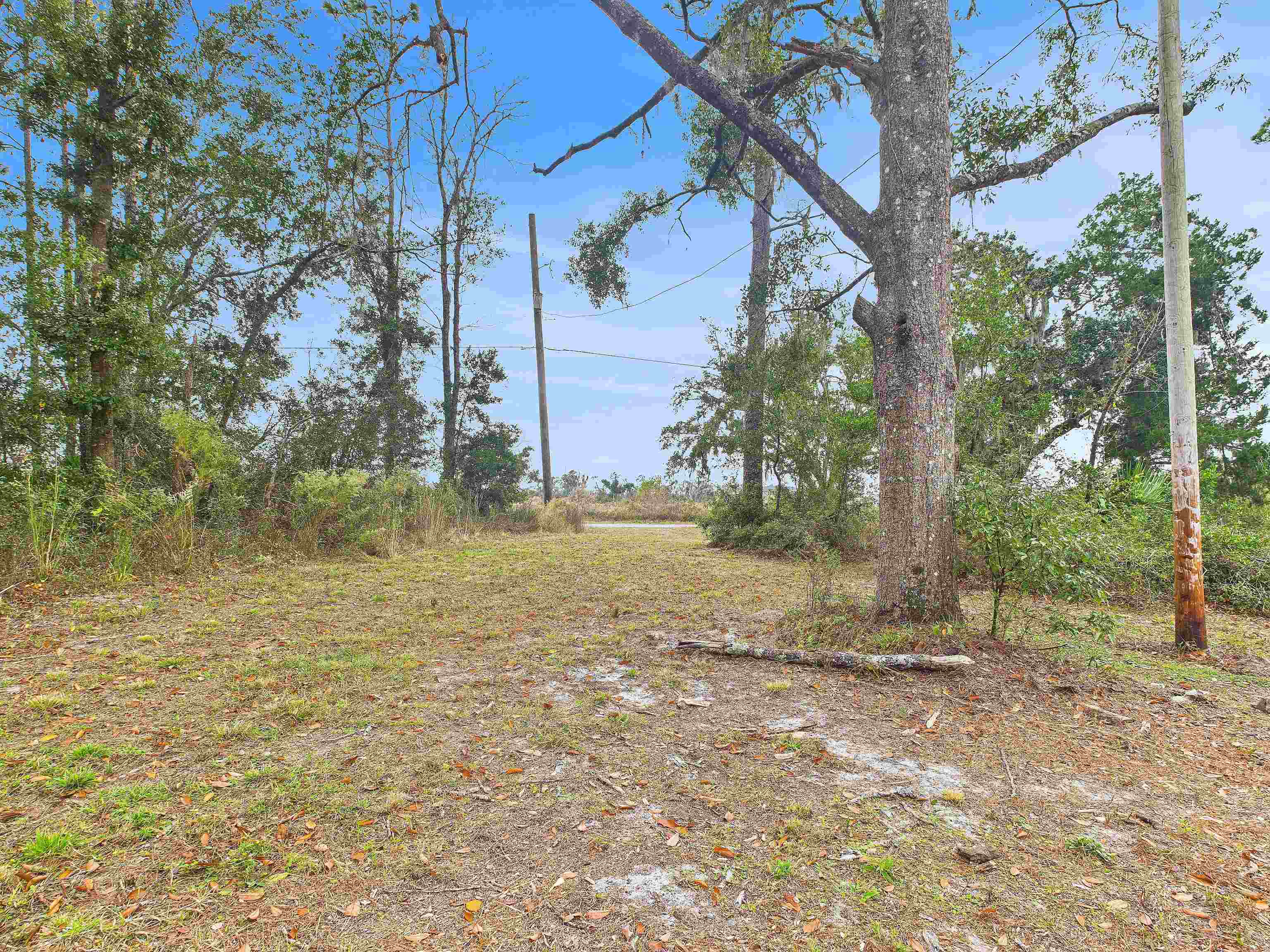 117 O Quinn Road Perry, FL 32348 - Photo 22 of 36