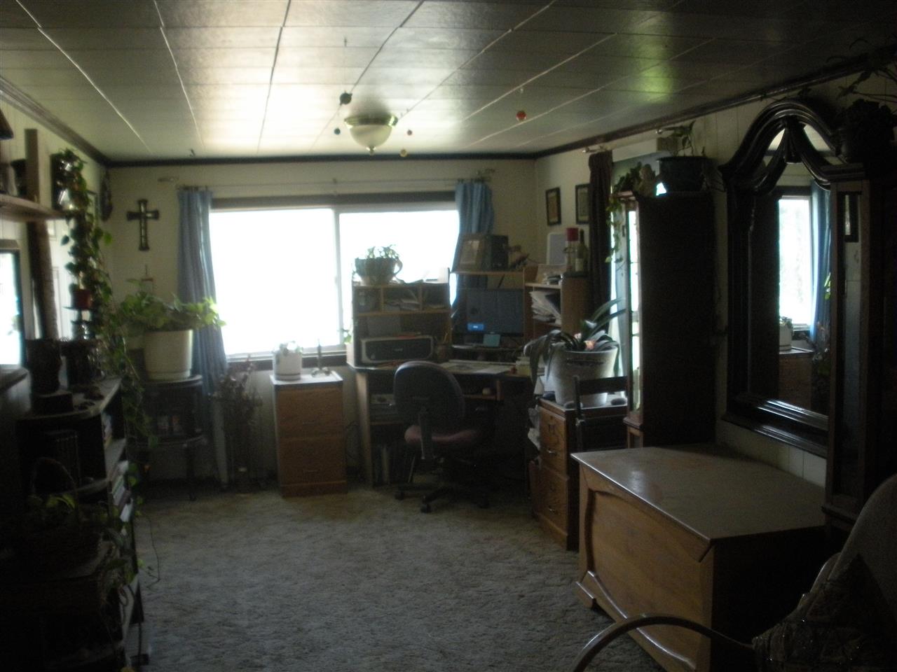 5010 East Handy Road Colbert, WA 99005 - Photo 3 of 13