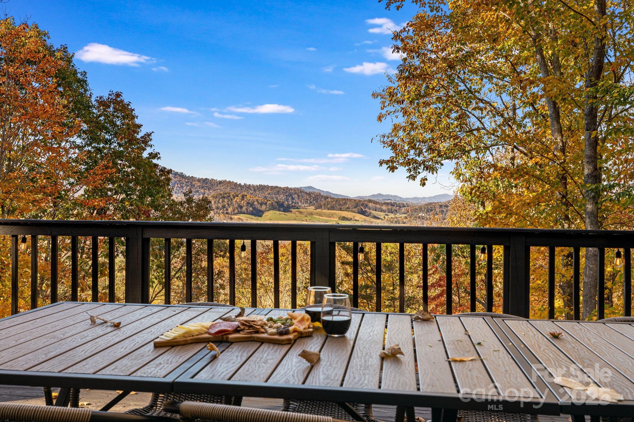 185 Blossom Ridge Leicester, NC 28748 - Photo 27 of 48