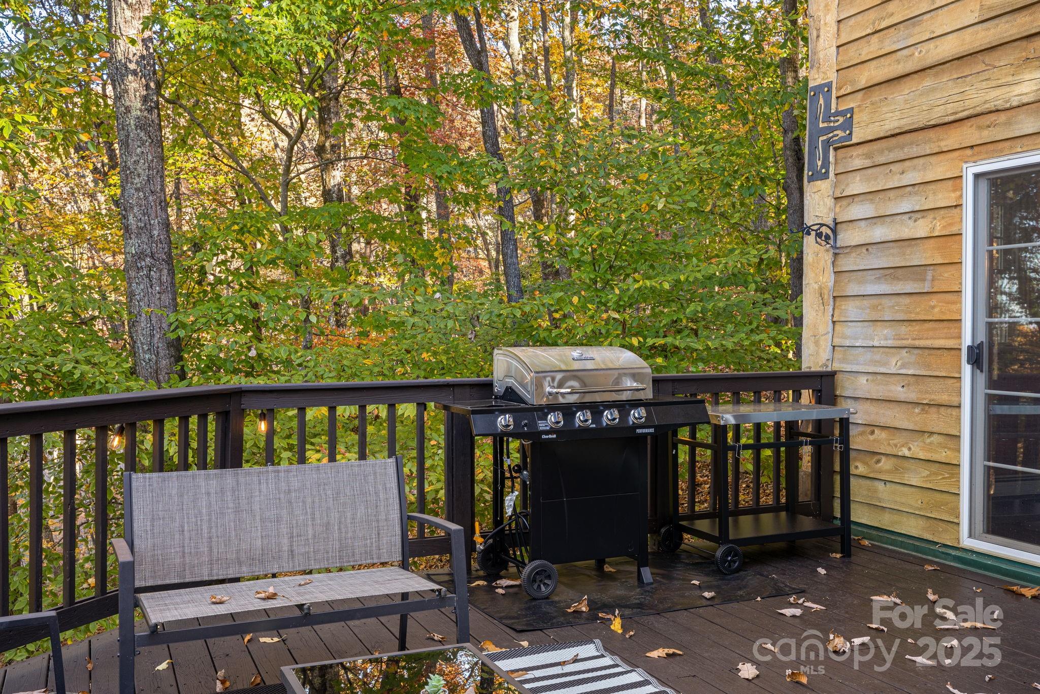 185 Blossom Ridge Leicester, NC 28748 - Photo 30 of 48