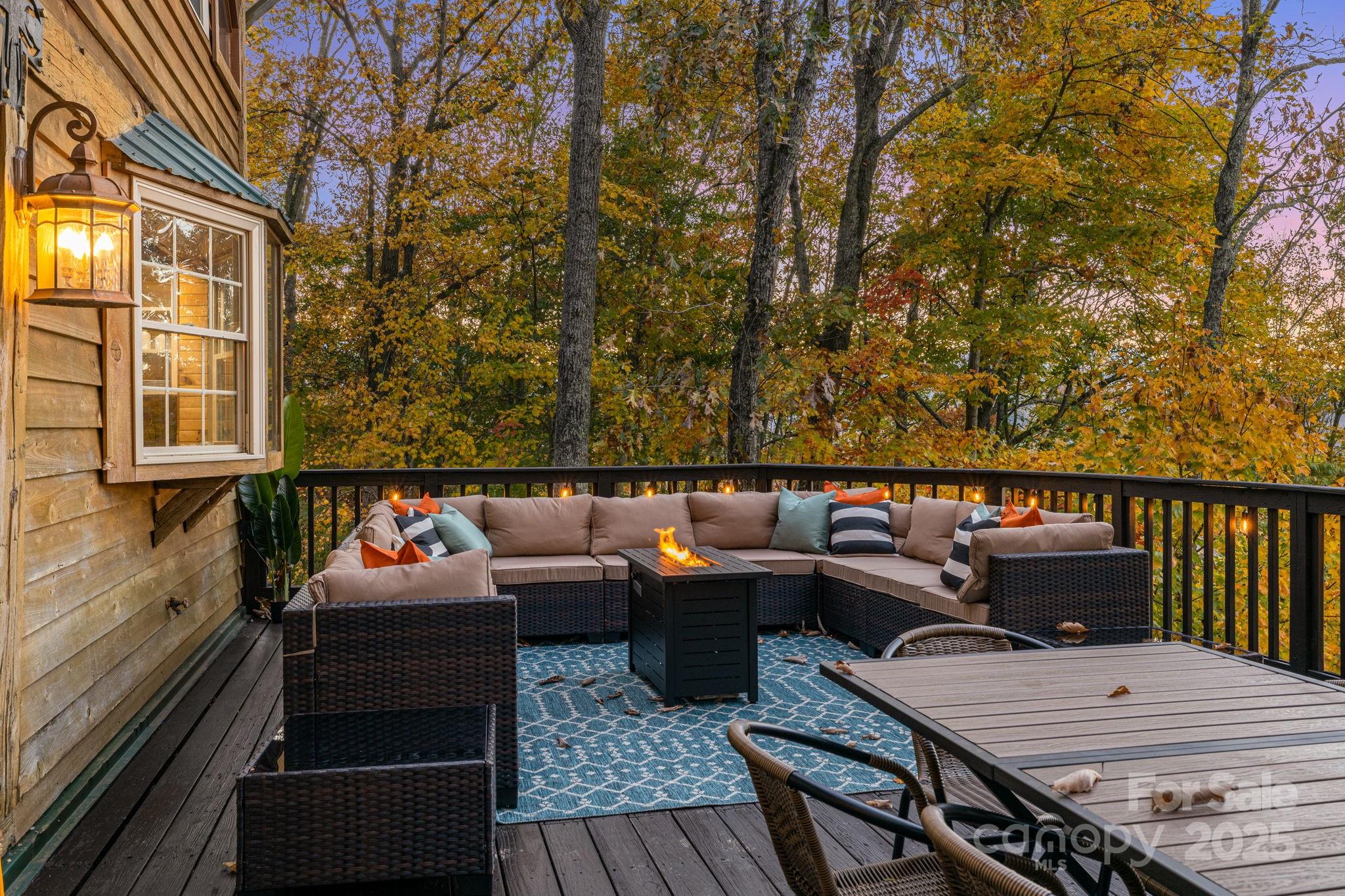 185 Blossom Ridge Leicester, NC 28748 - Photo 40 of 48