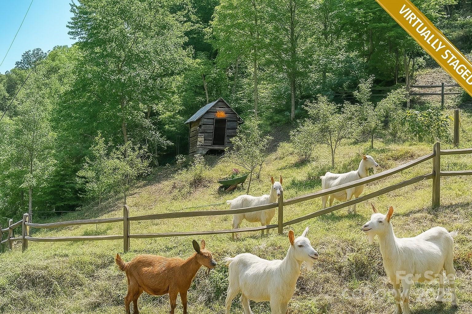 185 Blossom Ridge Leicester, NC 28748 - Photo 45 of 48