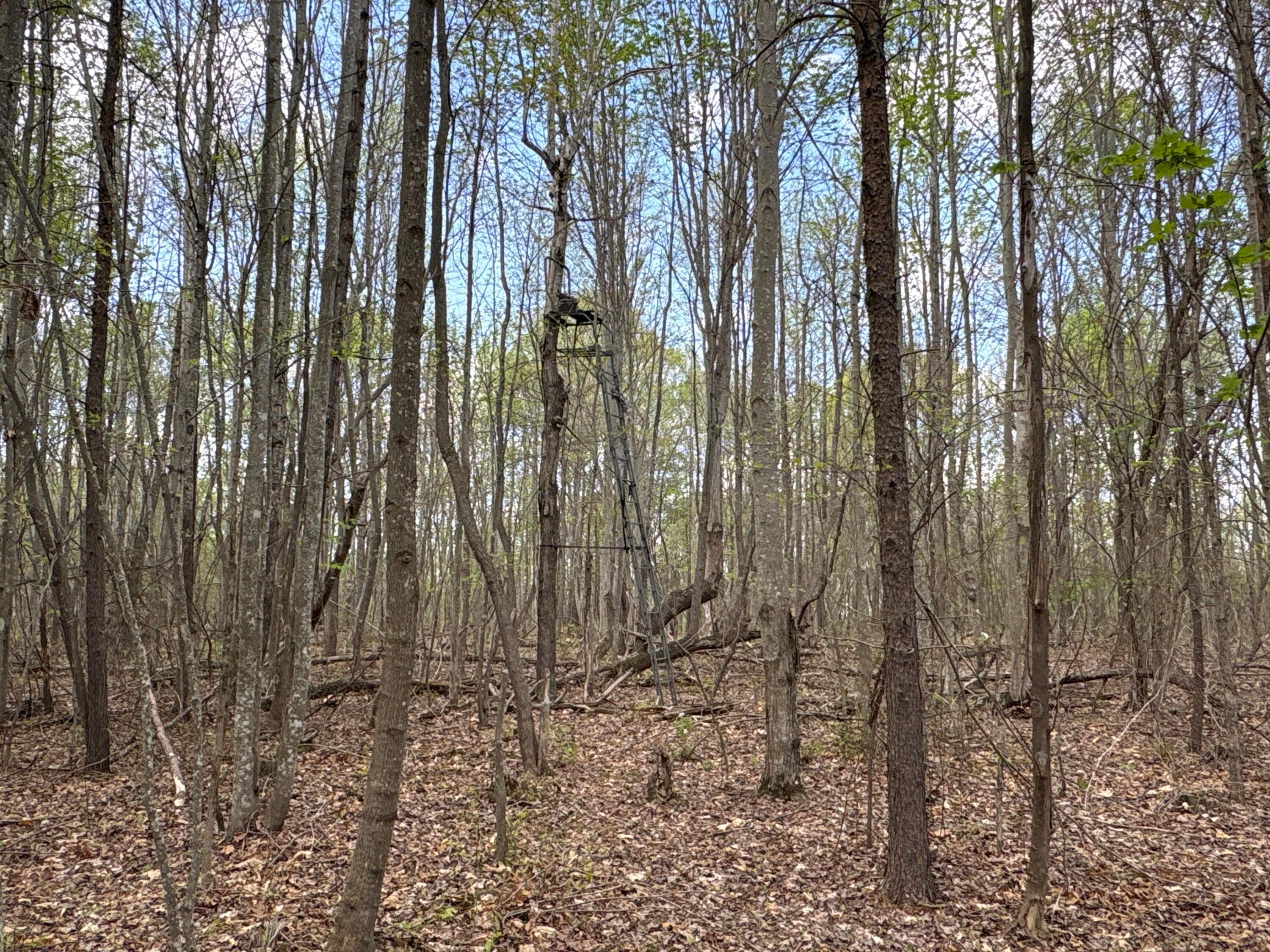 179 Pyle Road Lucasville, OH 45648 - Photo 21 of 32 IMG_2497