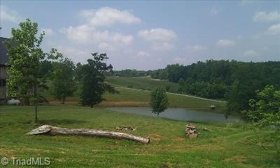 627 Mount Herman Church Road Mount Airy, NC 27030 - Photo 9 of 20 Gently rolling hills