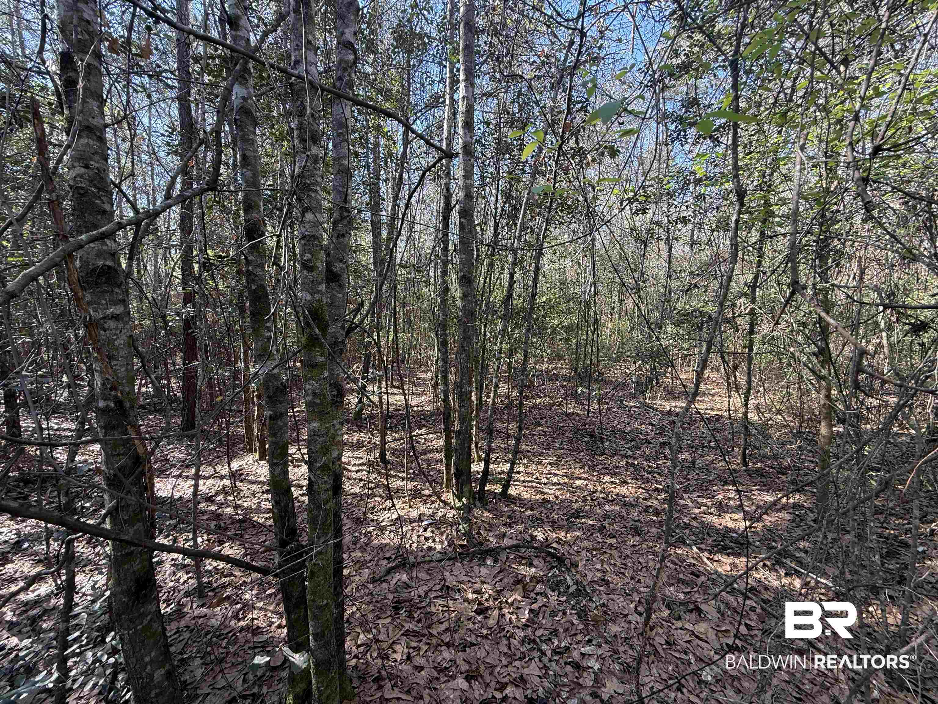 0 Gap Weekly Road Perdido, AL 36562 - Photo 13 of 20
