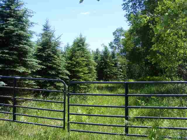 2040 East 2 1/2 Road Kingsley, MI 49649 - Photo 1 of 47 1843797.JPG