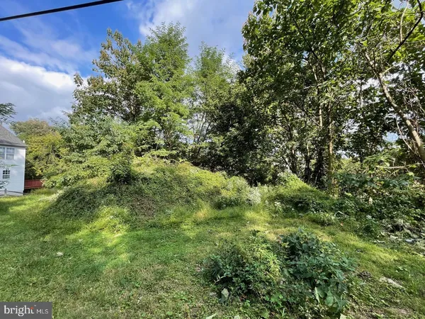 a view of a lush green forest with lots of trees
