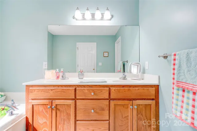 a bathroom with a sink vanity and a mirror