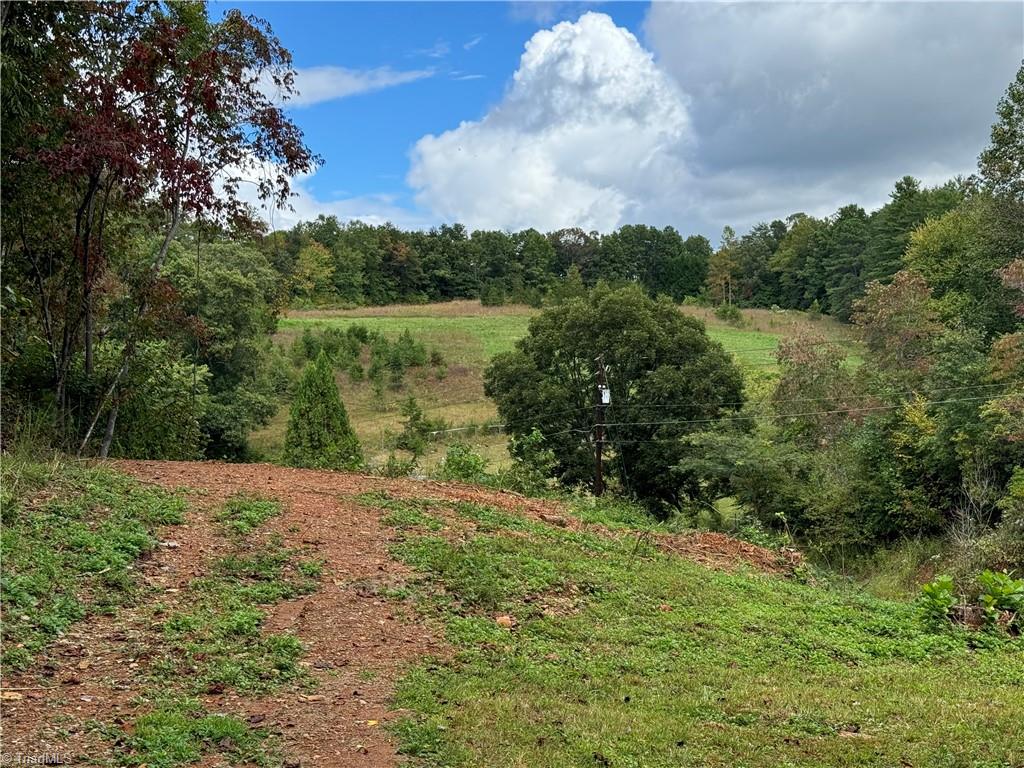 315 Marshall Farm Road Mount Airy, NC 27030 - Photo 50 of 50 Another view off the back of the home