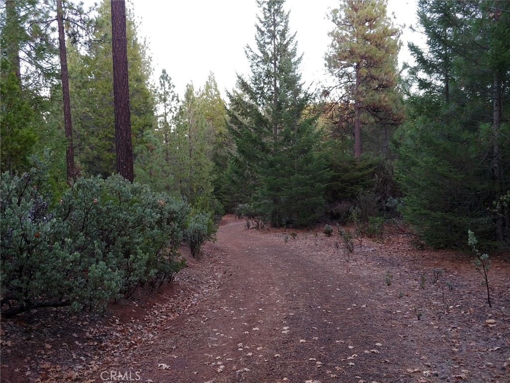 11254 Airstrip Road Middletown, CA 95461 - Photo 19 of 34