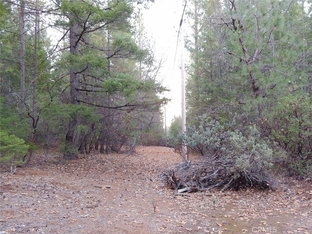 11254 Airstrip Road Middletown, CA 95461 - Photo 20 of 34