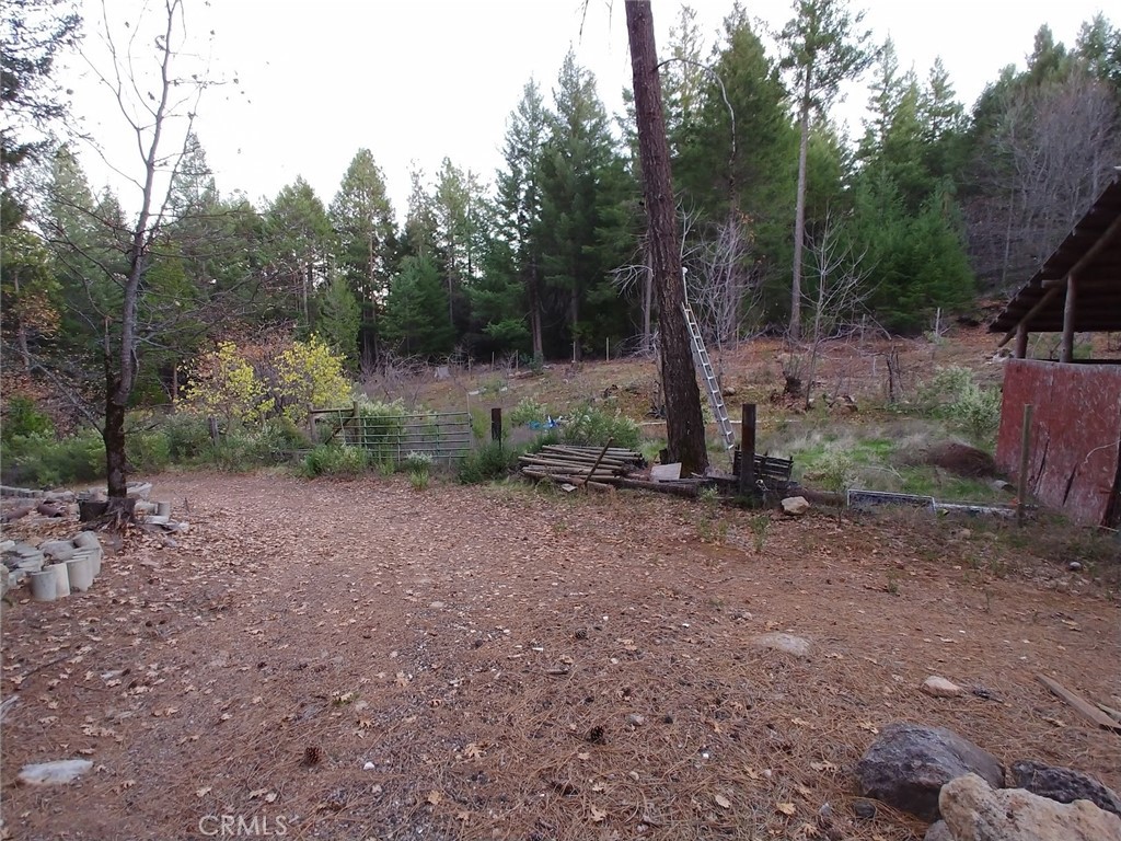 11254 Airstrip Road Middletown, CA 95461 - Photo 6 of 34