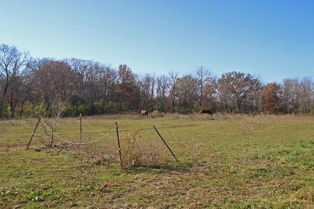 12905 Crownover Mill Road Mount Sterling, OH 43143 - Photo 46 of 49