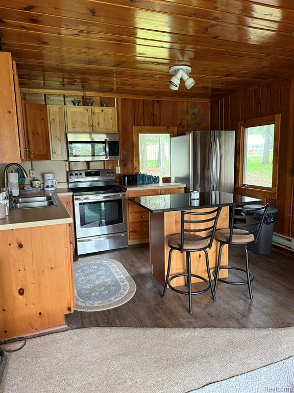 4348 Shrew Road Lincoln, MI 48742 - Photo 17 of 17