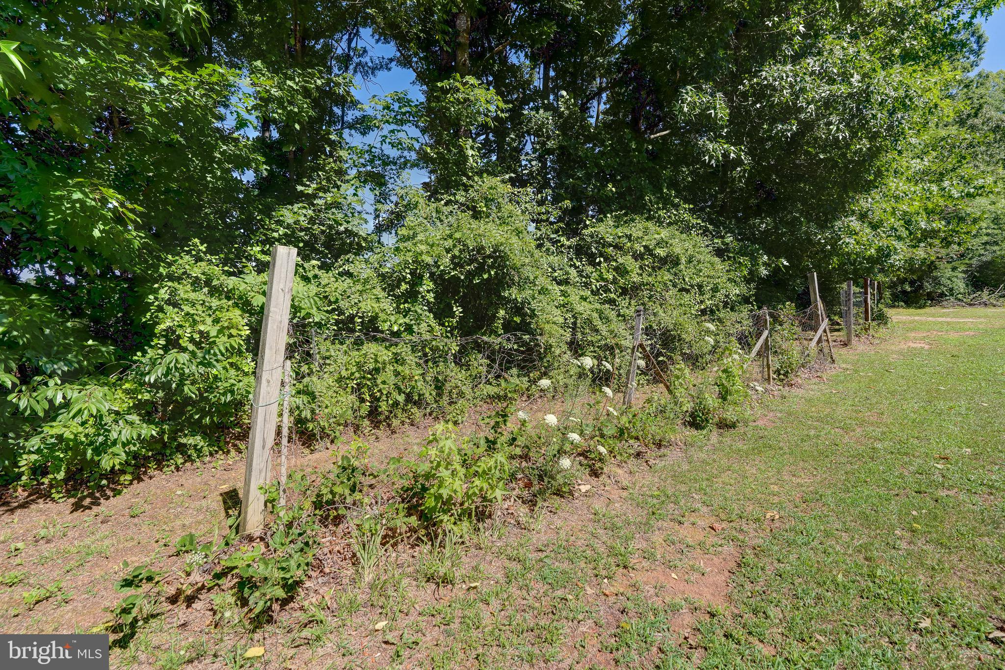 4319 Indian Creek Road Mineral, VA 23117 - Photo 42 of 46