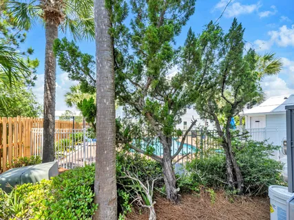 a view of a garden with plants and large trees