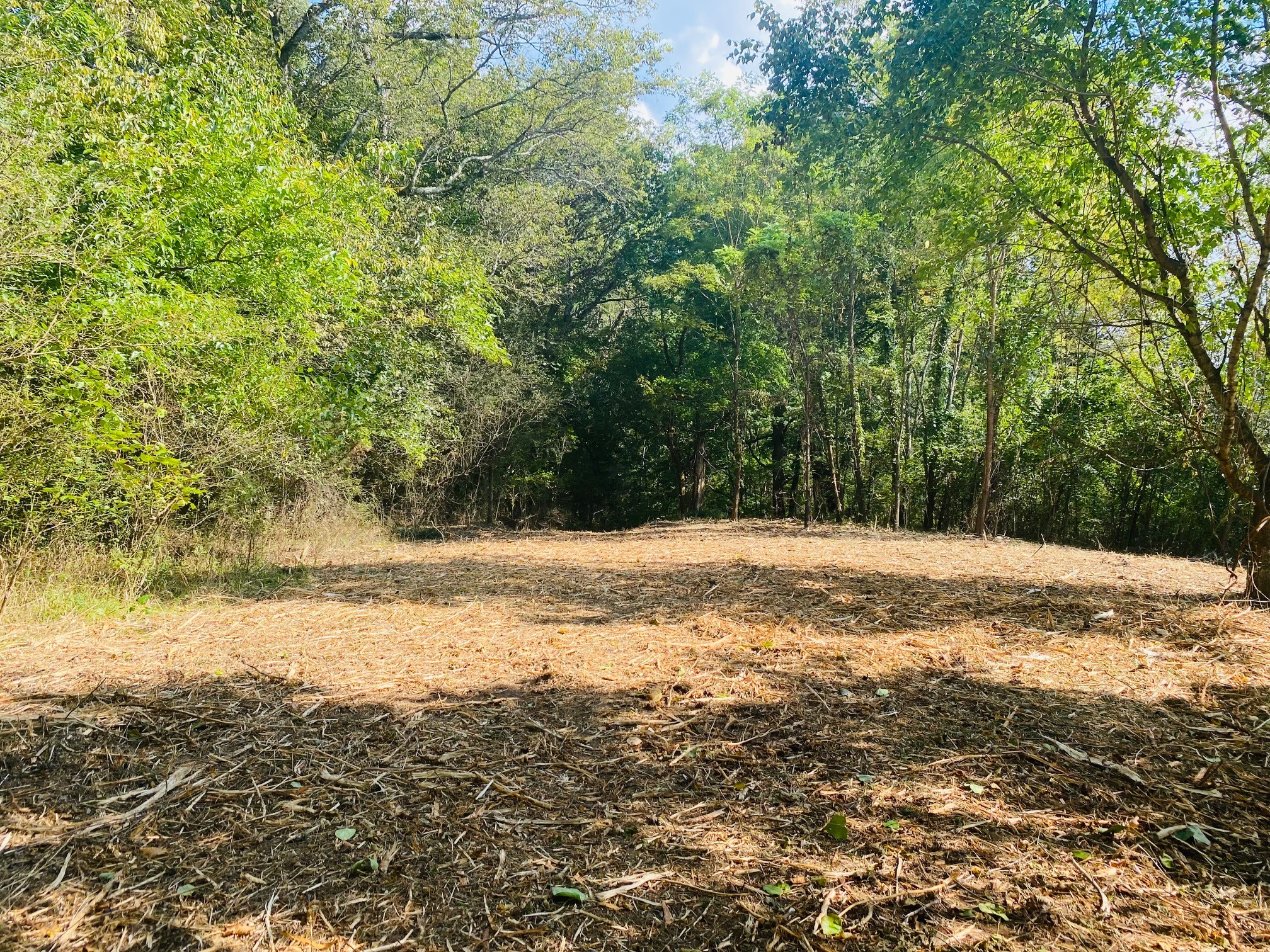 278 Hamestring Road Fayetteville, TN 37334 - Photo 2 of 16 a view of ocean view with large trees