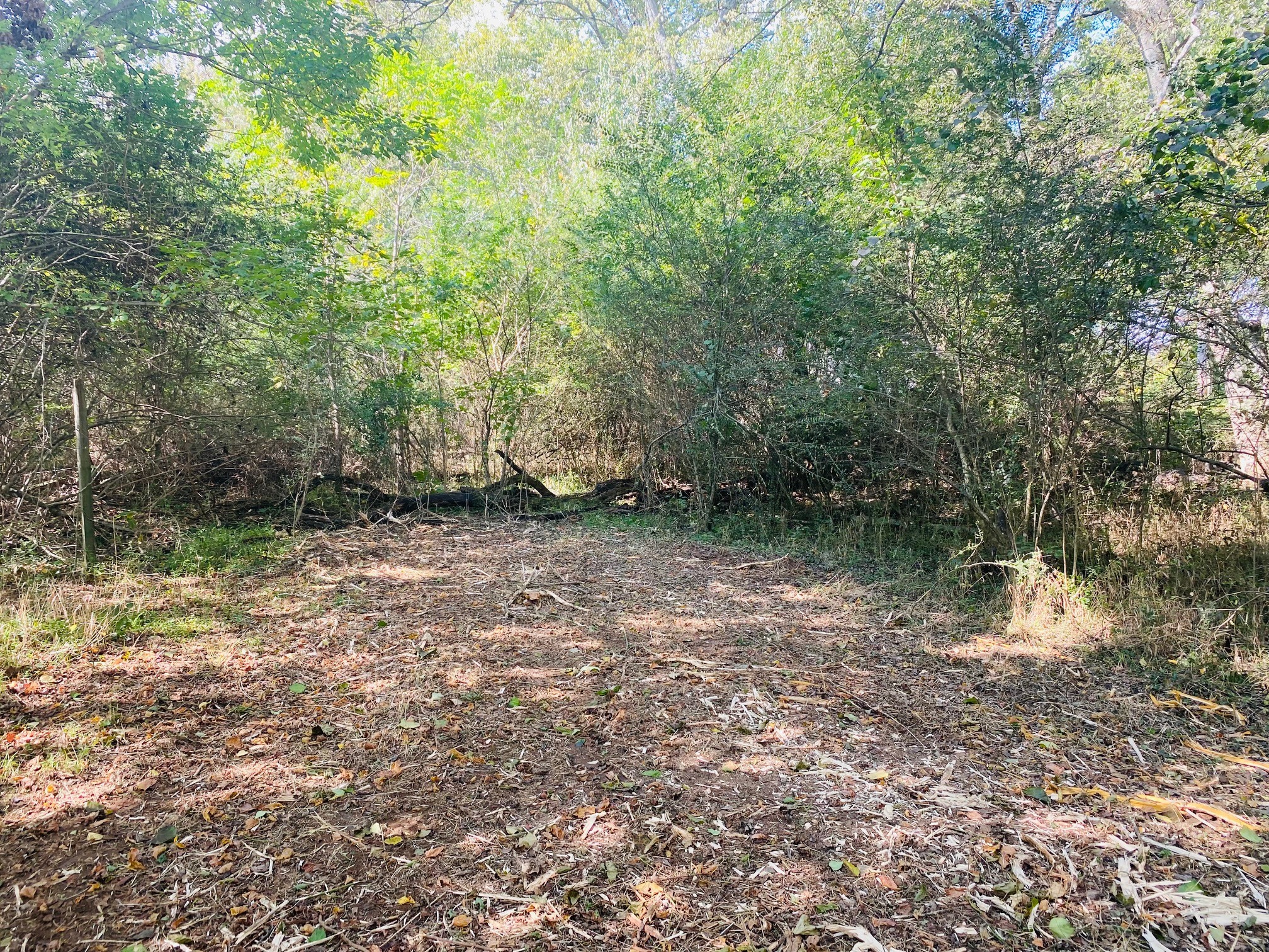 278 Hamestring Road Fayetteville, TN 37334 - Photo 3 of 16 a view of a lake with trees