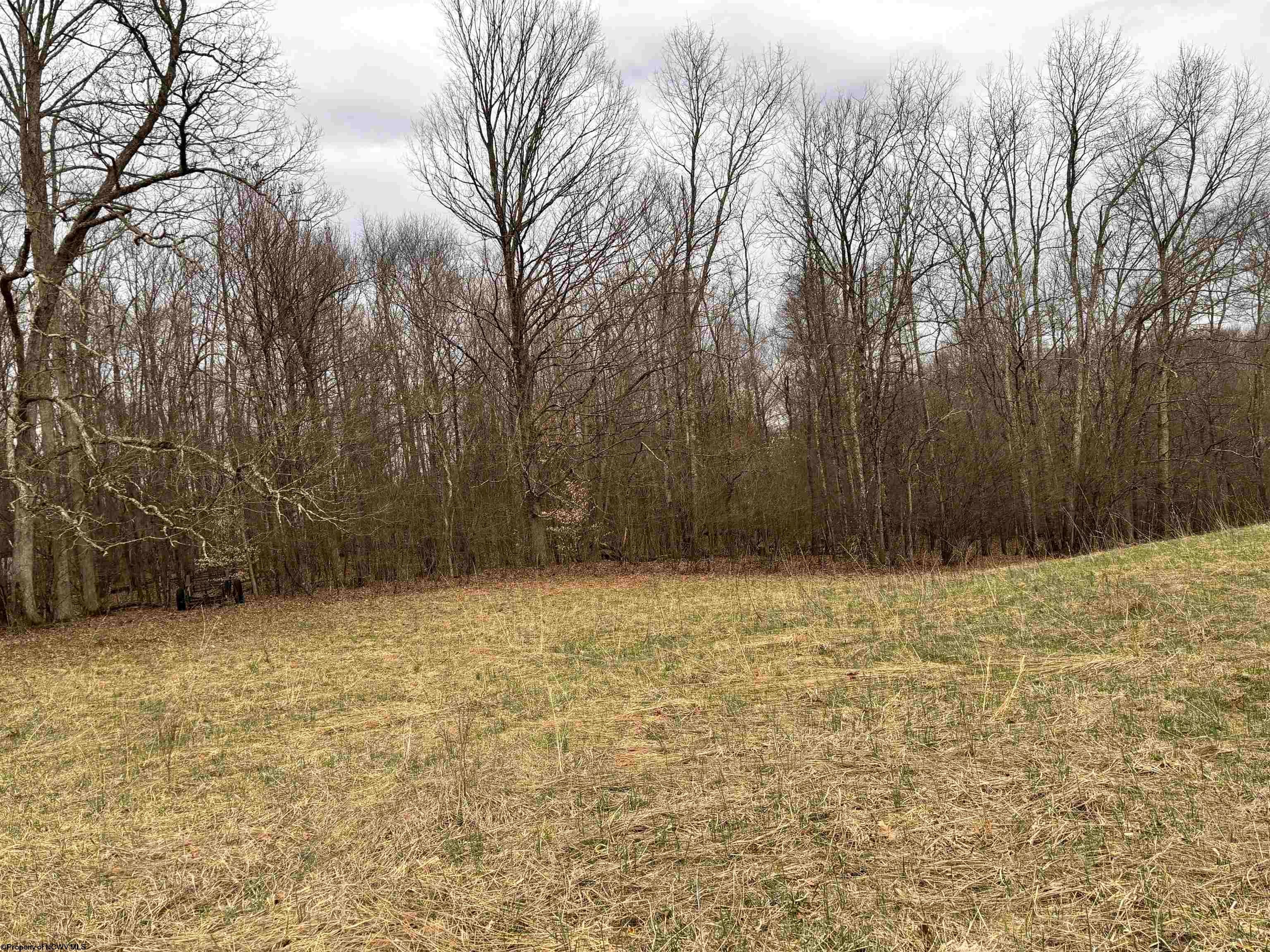 838 Charlie Phillips Road Montrose, WV 26283 - Photo 5 of 11 Gallery Image 5