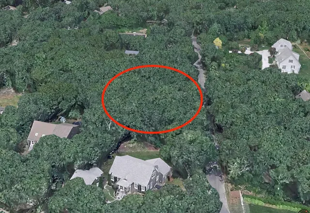 an aerial view of a house