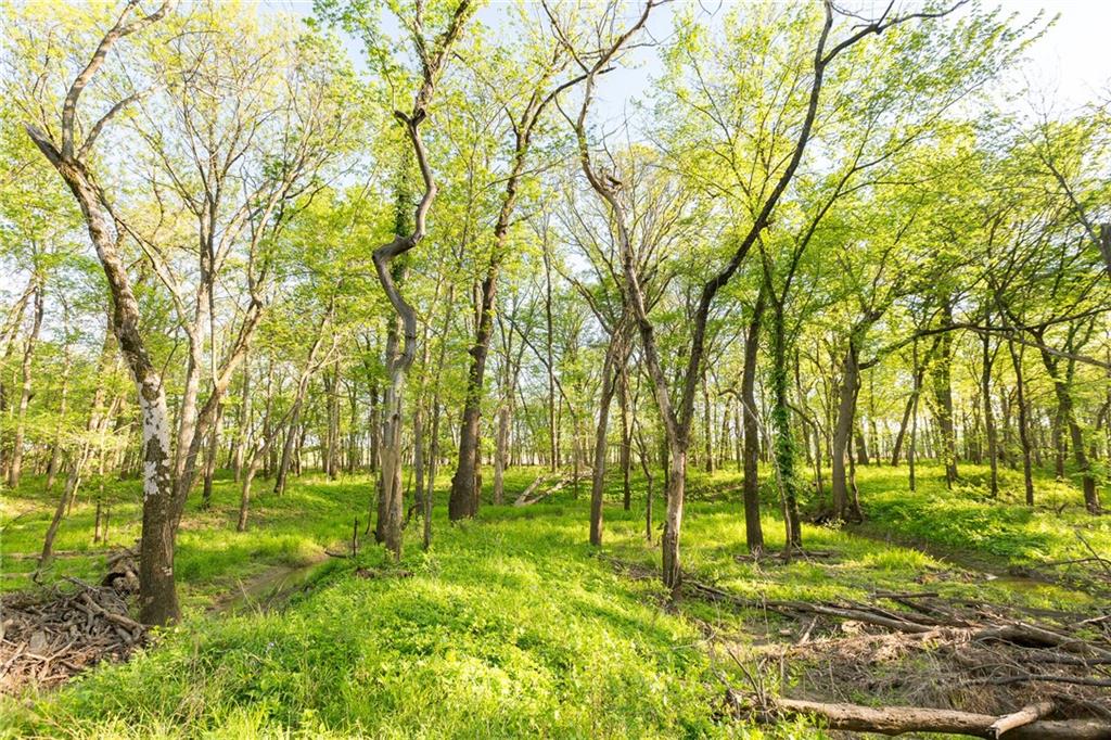 1 Stanton Road Osawatomie, KS 66064 - Photo 68 of 81