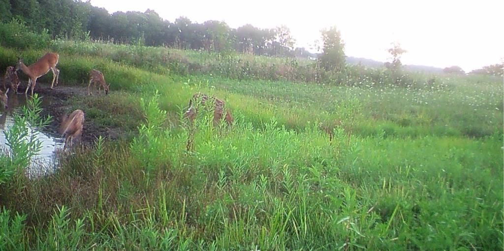 1 Stanton Road Osawatomie, KS 66064 - Photo 78 of 81
