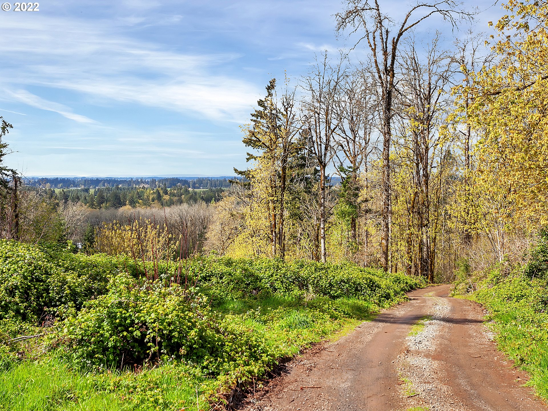 21720 South Central Point Road Oregon City, OR 97045 - Photo 20 of 27 a view of a yard with plants and large trees