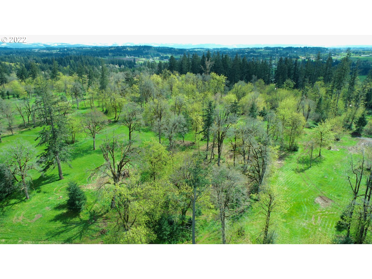 21720 South Central Point Road Oregon City, OR 97045 - Photo 8 of 27 a open area with lots of green bushes