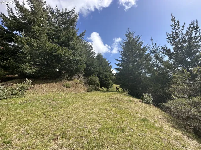 a view of a yard with an trees