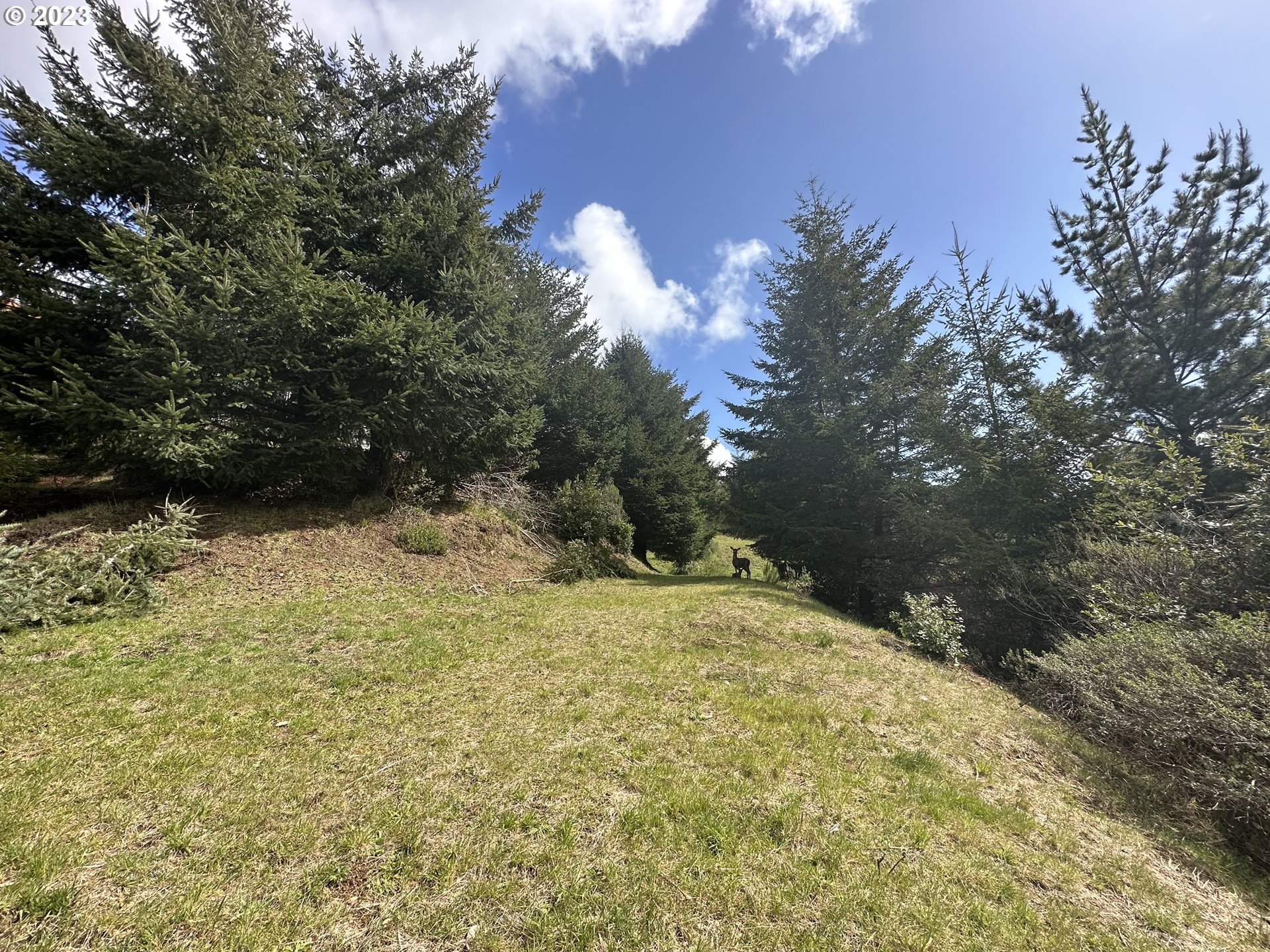 6894 Pacific Terrace Loop Brookings, OR 97415 - Photo 11 of 19