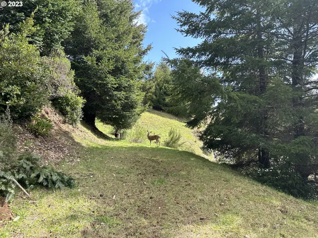 a view of multiple house