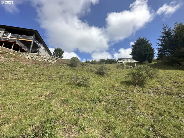a view of outdoor space and yard