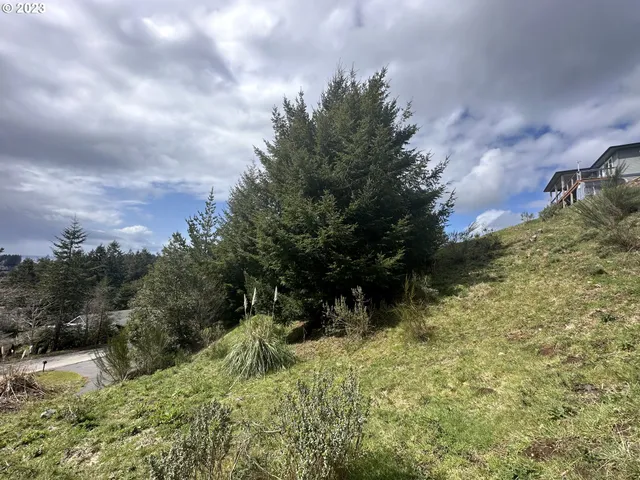 a view of a yard with plants and a large tree