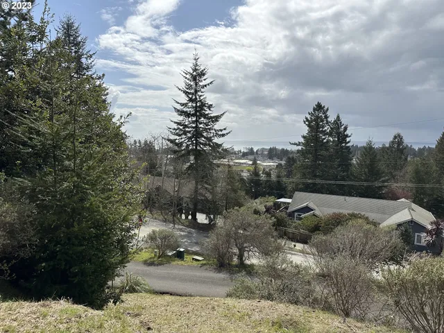 a view of a yard with plants and trees