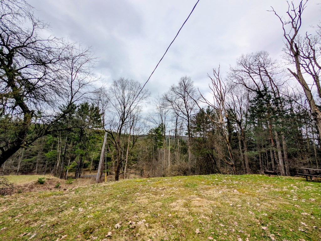2009 Economite Road East Tidioute, PA 16351 - Photo 5 of 16 a view of a yard with a tree