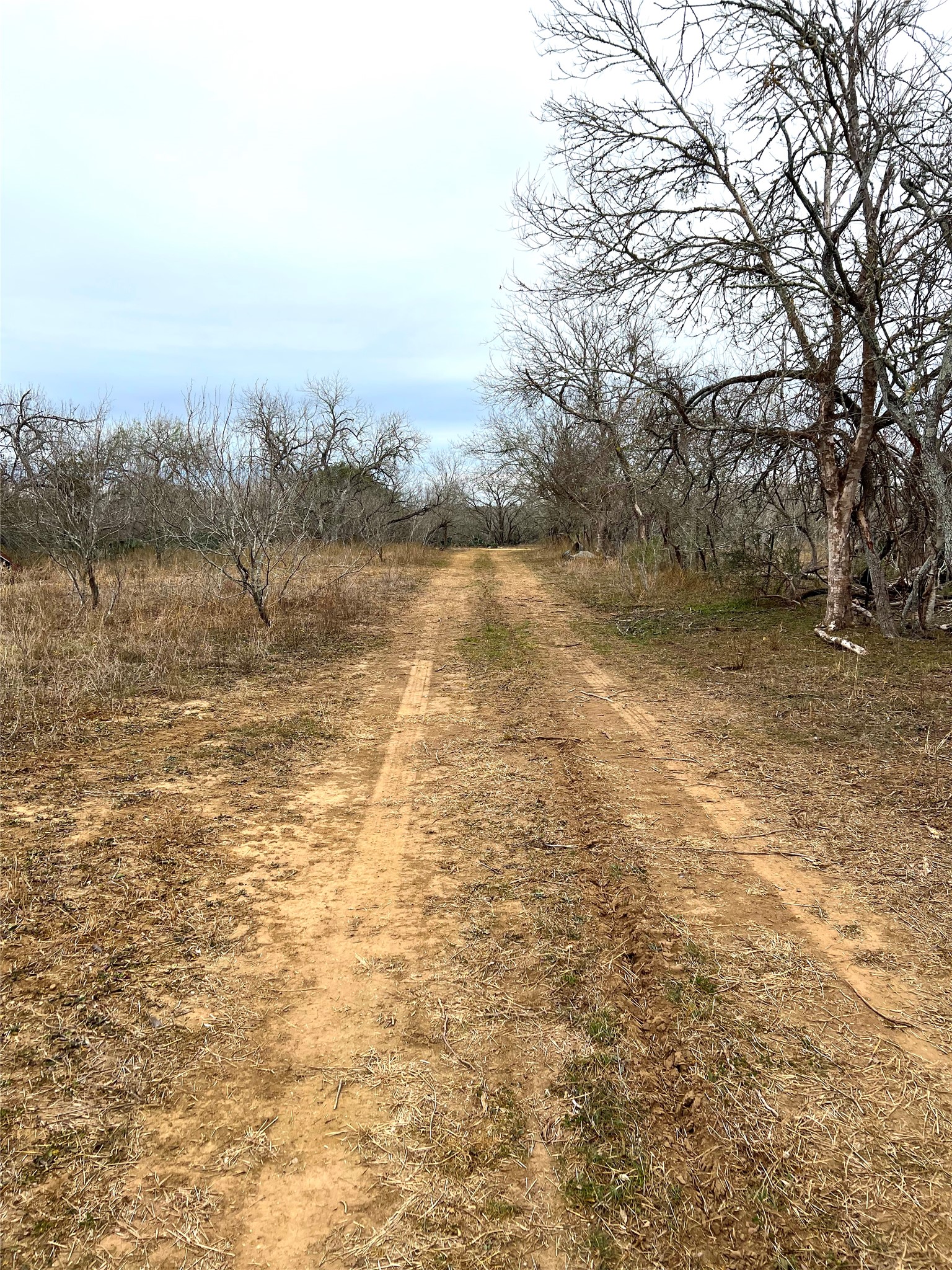 View of dirt / gravel road featuring a rural view