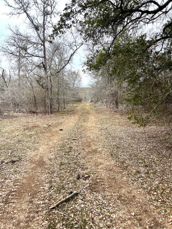 Tbd Lot A Watterson Road Bastrop, TX 78602 - Photo 12 of 17 a view of empty yard with trees