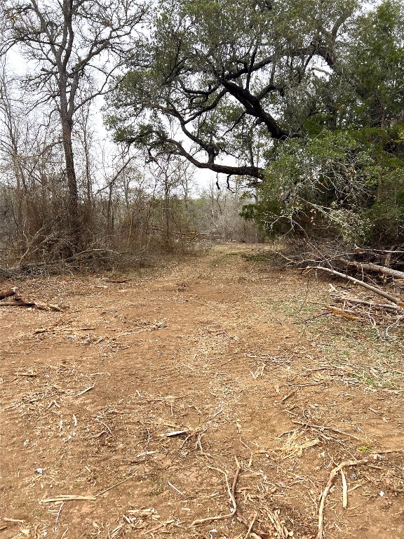 Tbd Lot A Watterson Road Bastrop, TX 78602 - Photo 13 of 17 a view of a yard with a tree