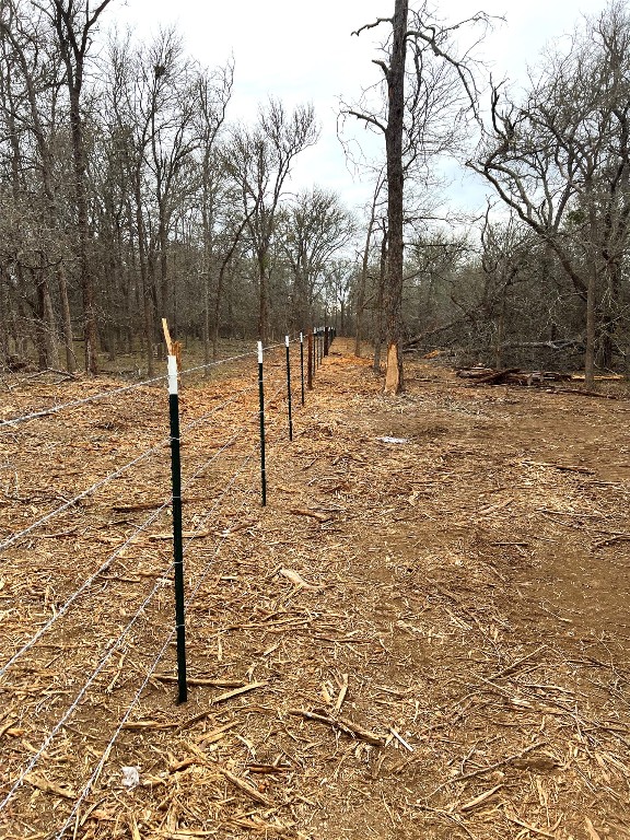Tbd Lot A Watterson Road Bastrop, TX 78602 - Photo 14 of 17 a view of a yard with trees
