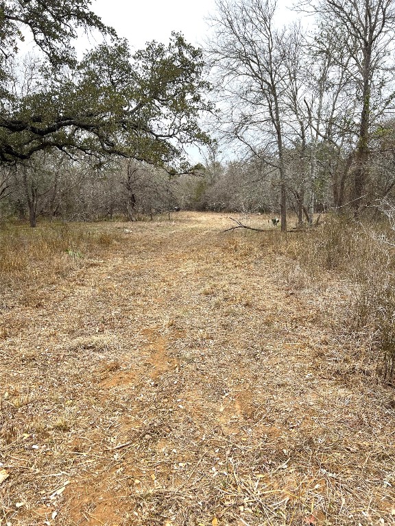 Tbd Lot A Watterson Road Bastrop, TX 78602 - Photo 15 of 17