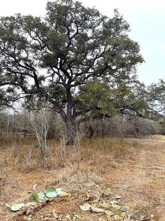 Tbd Lot A Watterson Road Bastrop, TX 78602 - Photo 16 of 17 a view of a dry yard with wooden fence