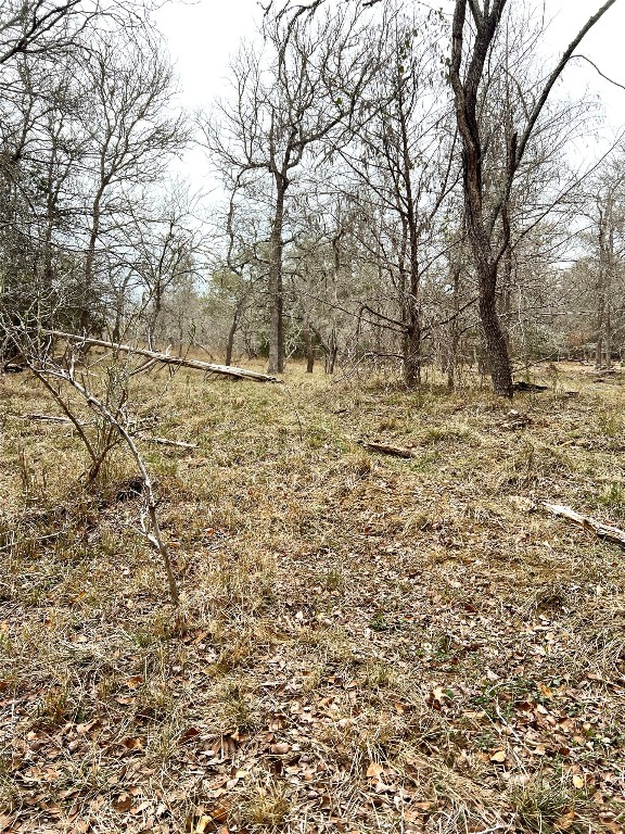 Tbd Lot A Watterson Road Bastrop, TX 78602 - Photo 6 of 17 a view of a yard with large trees