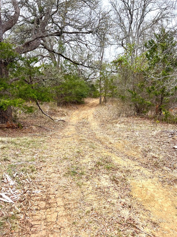 Tbd Lot A Watterson Road Bastrop, TX 78602 - Photo 8 of 17 a view of a yard with a tree