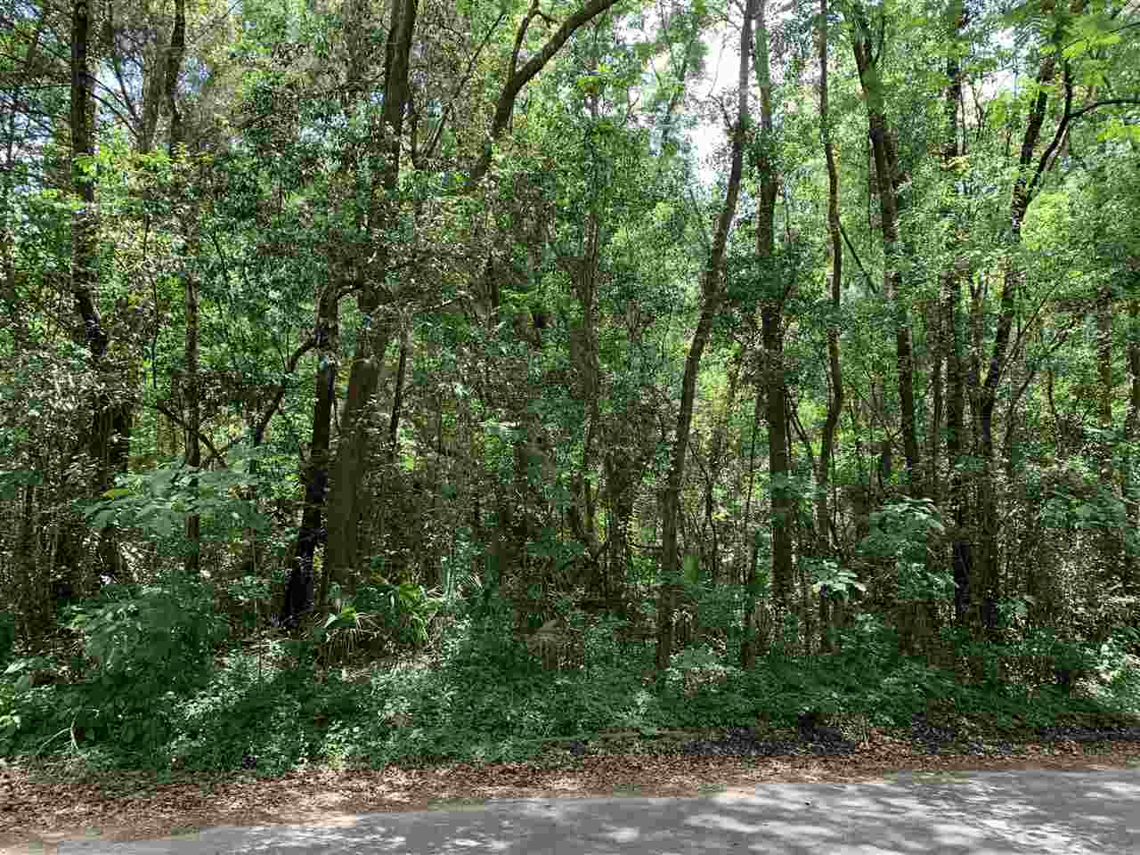 0 East Spring Place Perry, FL 32347 - Photo 3 of 5 Gallery Image 3