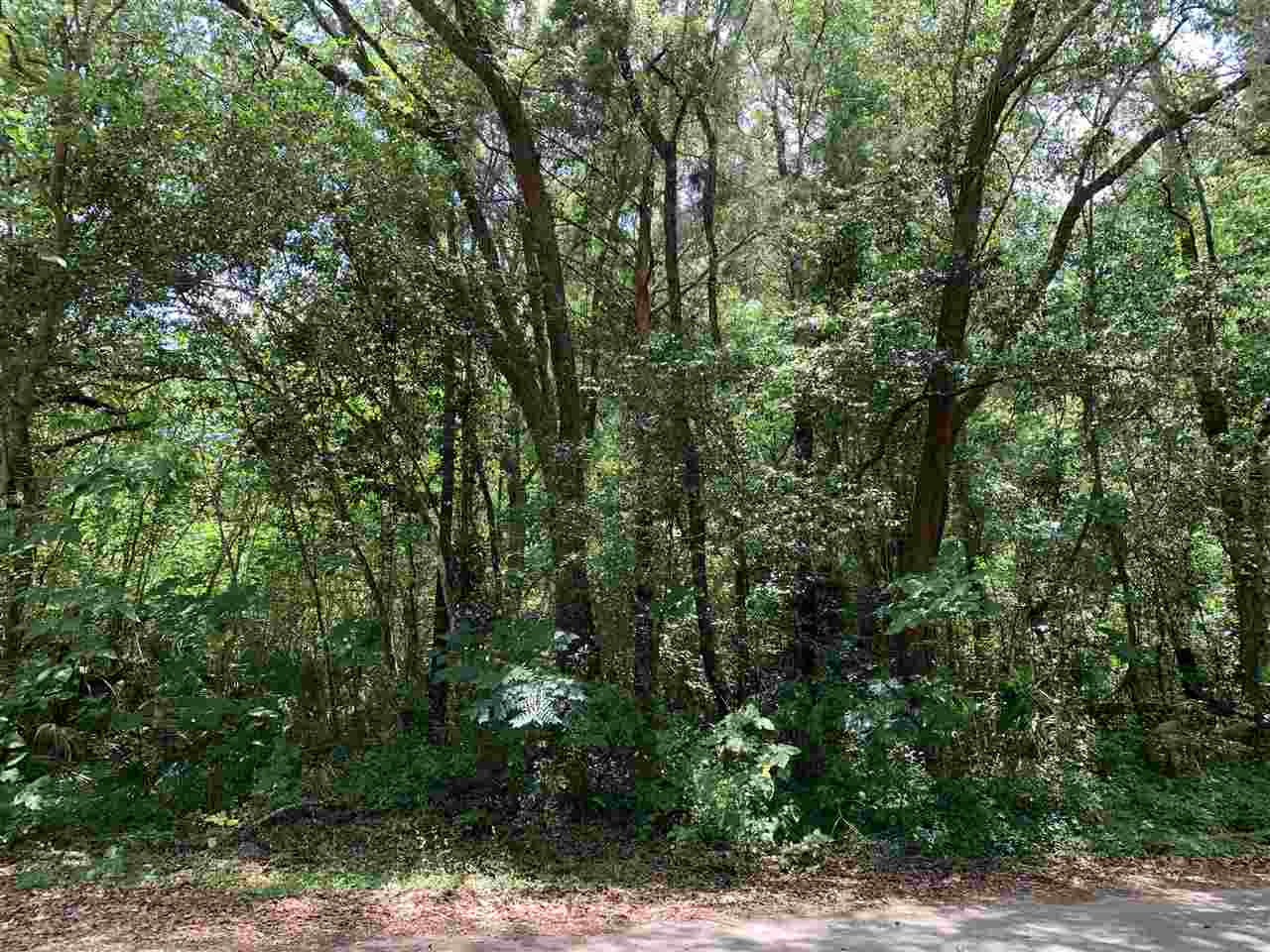 0 East Spring Place Perry, FL 32347 - Photo 4 of 5 Gallery Image 4